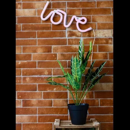 Semi-industrial Palacio Castilla * Jerez de la Frontera